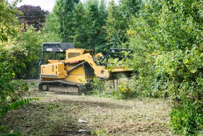 Autumn Land Clearing